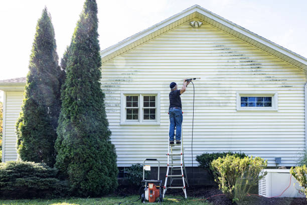 Best Roof Cleaning and Mildew Removal in Winter Haven, FL